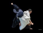 AIKIDO ARTS MARTIAUX COLMAR OFFICIEL Colmar