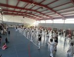 CAPOEIRA PASSO A PASSO 13012